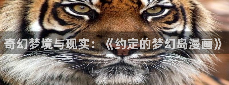 51漫画苹果ios版：奇幻梦境与现实：《约定的梦幻岛漫画》