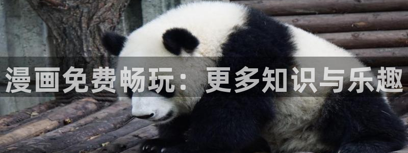 51漫画官方在线阅读页面漫画入口页面弹窗