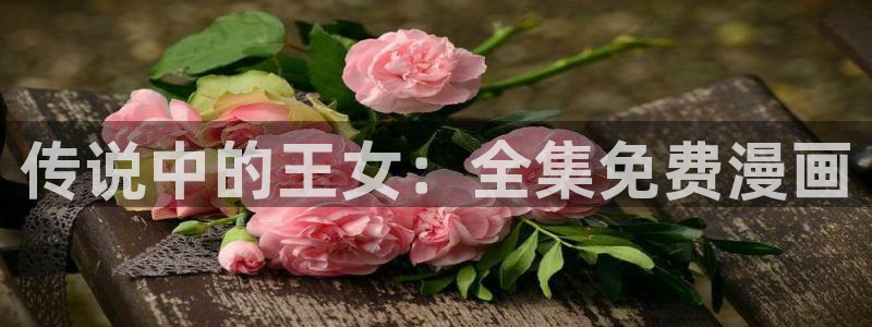 51漫画下拉式免费漫画阅读